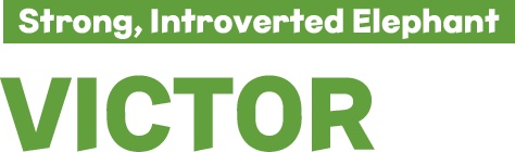 Strong, Introverted Elephant