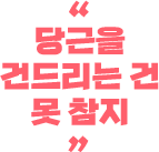 당근을 건드리는 건 못 참지