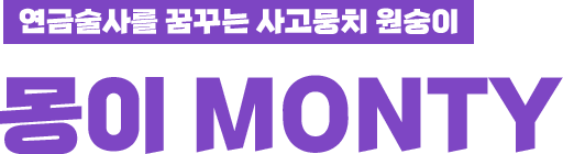 연금술사를 꿈꾸는 사고뭉치 원숭이 몽이 MONTY