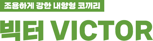 조용하게 강한 내향형 코끼리 빅터 Victor
