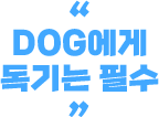 DOG에게 독기는 필수
